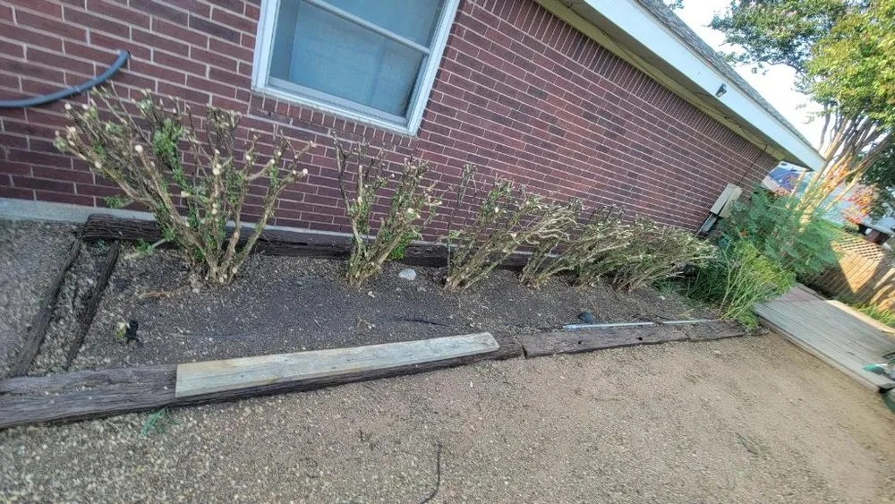 Trusted landscape installation with custom design across Austin, TX - Tigers Tree Services & Landscaping