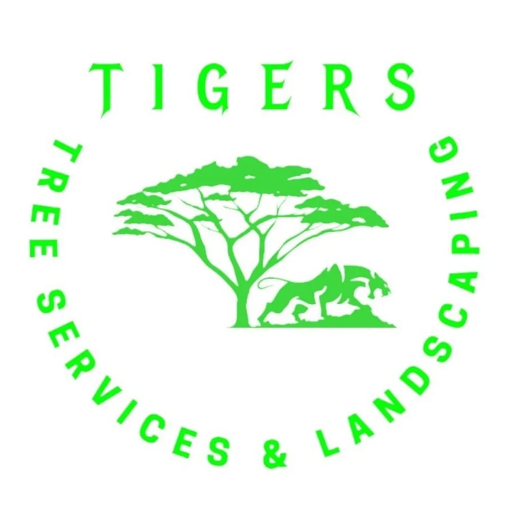 Professional outdoor landscaping for beautiful yards in Austin, TX by Tigers Tree Services & Landscaping