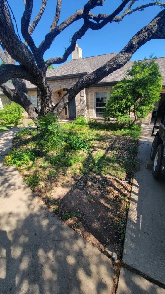 Trusted residential landscaping in Austin, TX - Tigers Tree Services & Landscaping