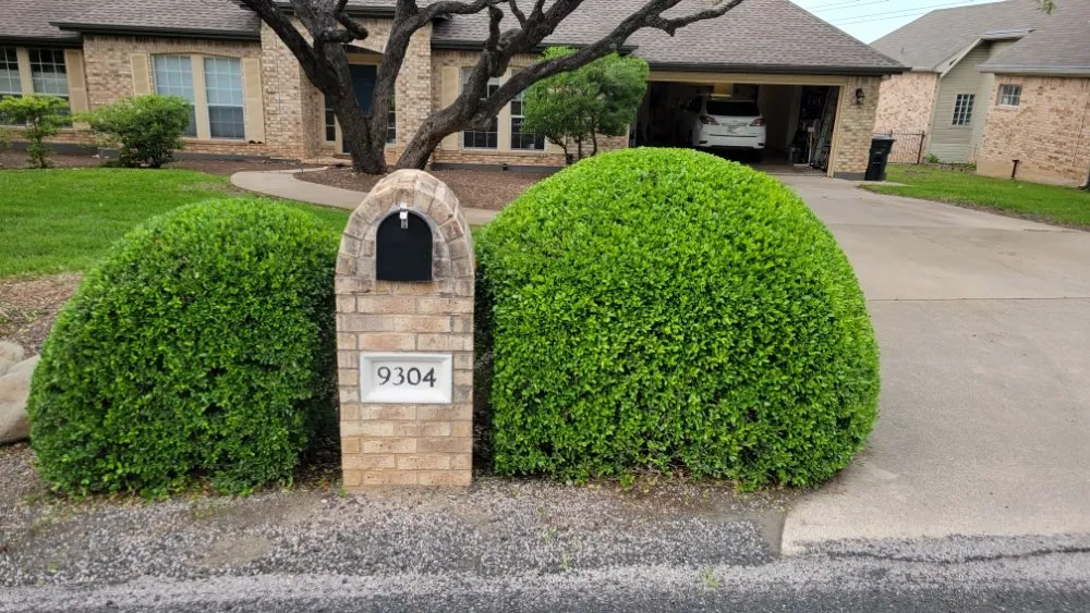 Reliable landscape design in Austin, TX by Tigers Tree Services & Landscaping