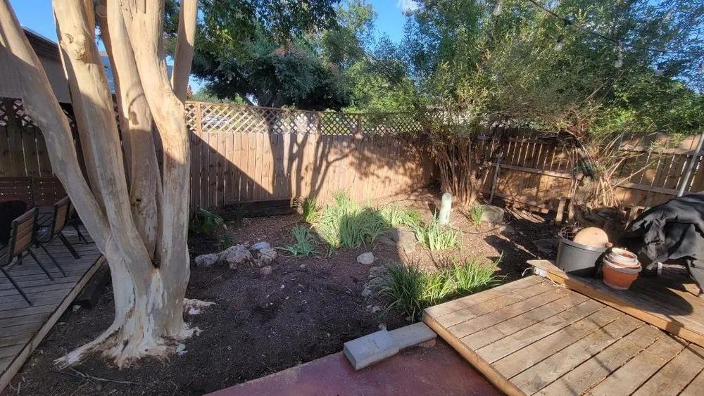 Professional outdoor landscaping in Austin, TX - Tigers Tree Services & Landscaping