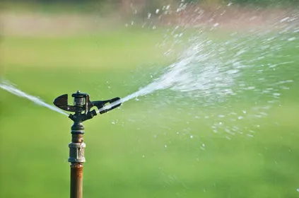 Affordable yard cleanup service in Dobbs Ferry, NY - Tigre Tree Care and Landscaping