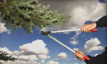 Reliable landscaping services experts serving Dobbs Ferry, NY - Tigre Tree Care and Landscaping