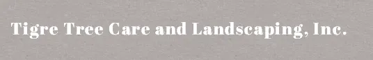 Professional landscaping services for outdoor upgrades in Dobbs Ferry, NY by Tigre Tree Care and Landscaping
