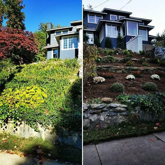 Expert lawn care service in Dobbs Ferry, NY by Tigre Tree Care and Landscaping