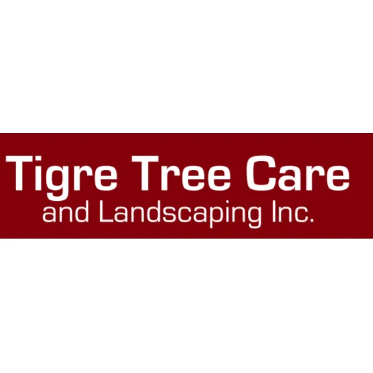 Professional yard maintenance for year-round maintenance across Dobbs Ferry, NY - Tigre Tree Care and Landscaping