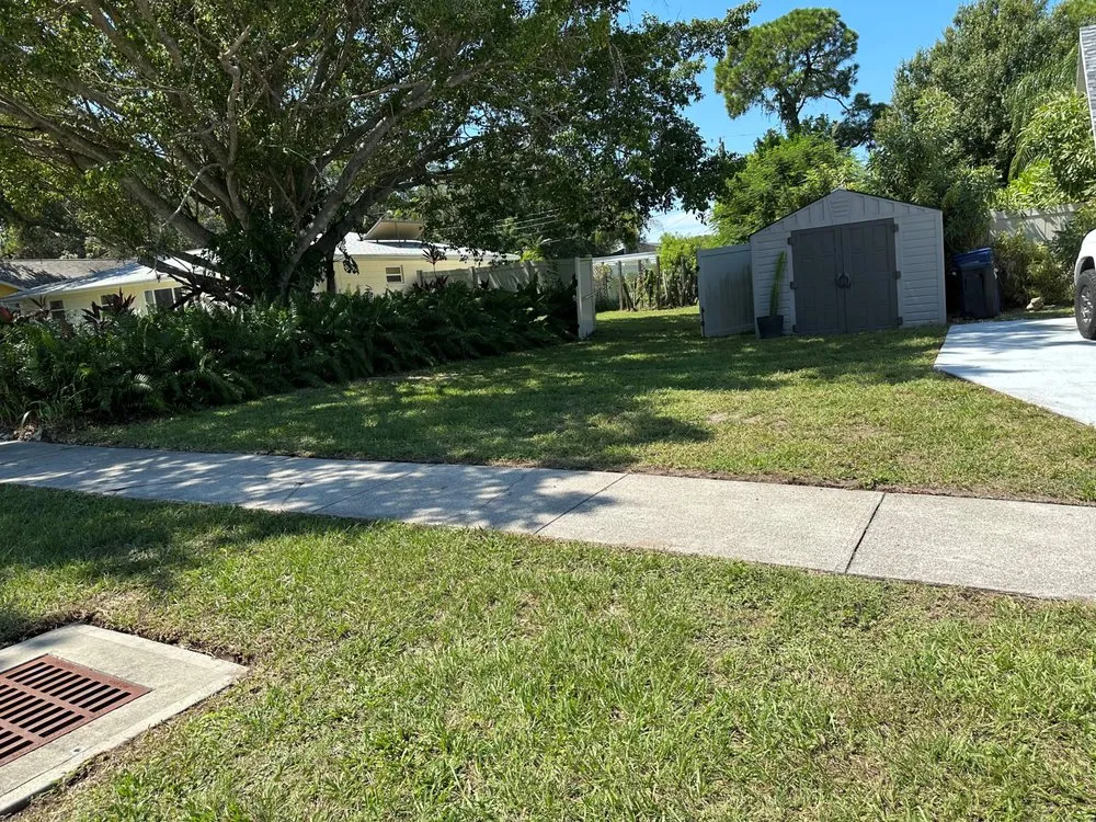 Trusted yard cleanup service experts serving Sarasota, FL - Tikal Landscaping