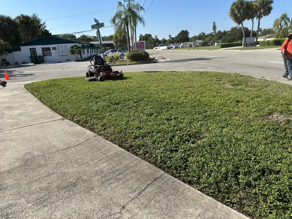 Affordable outdoor landscaping in Sarasota, FL - Tikal Landscaping