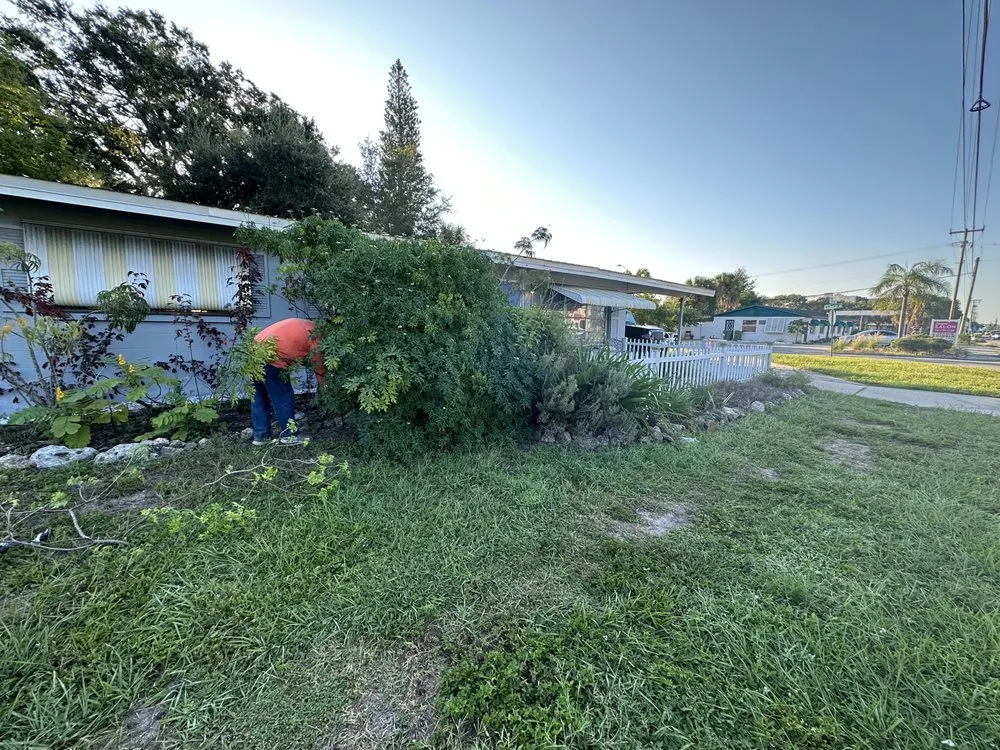 Affordable outdoor landscaping experts serving Sarasota, FL - Tikal Landscaping