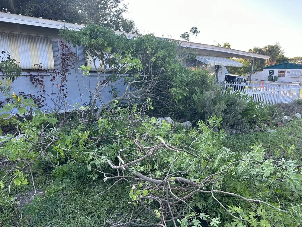 Custom landscape design in Sarasota, FL by Tikal Landscaping