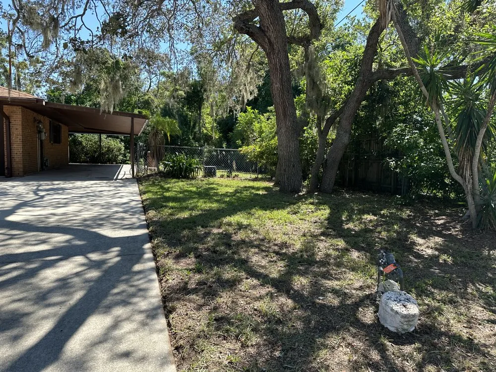 Local garden landscaping in Sarasota, FL by Tikal Landscaping