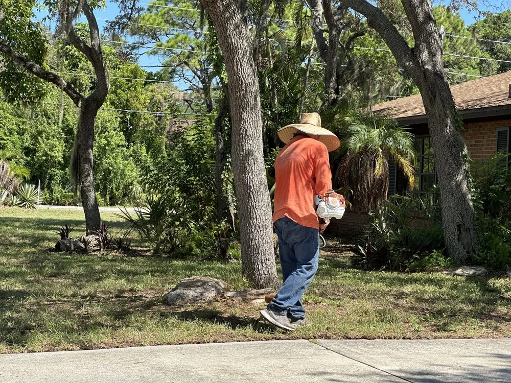 Top-rated landscape design experts serving Sarasota, FL - Tikal Landscaping