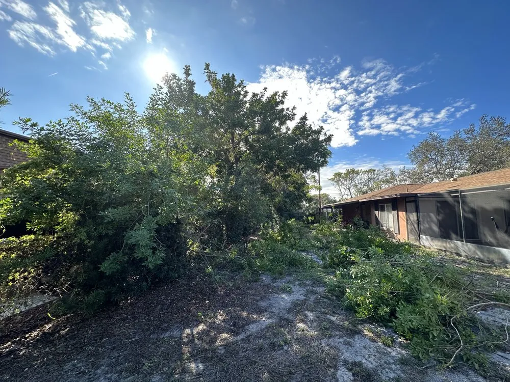 Reliable outdoor landscaping experts serving Sarasota, FL - Tikal Landscaping