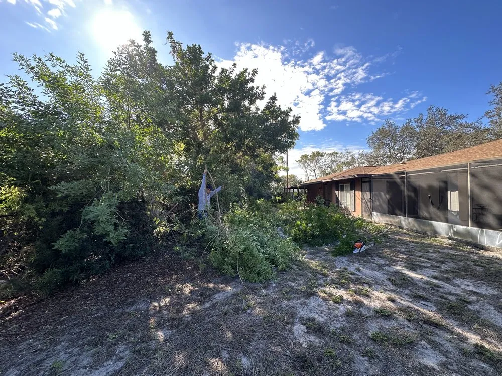 Professional garden landscaping experts serving Sarasota, FL - Tikal Landscaping