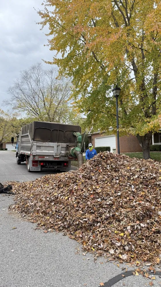 Custom landscaping services in Knoxville, TN - Tikal Lawn and Landscaping