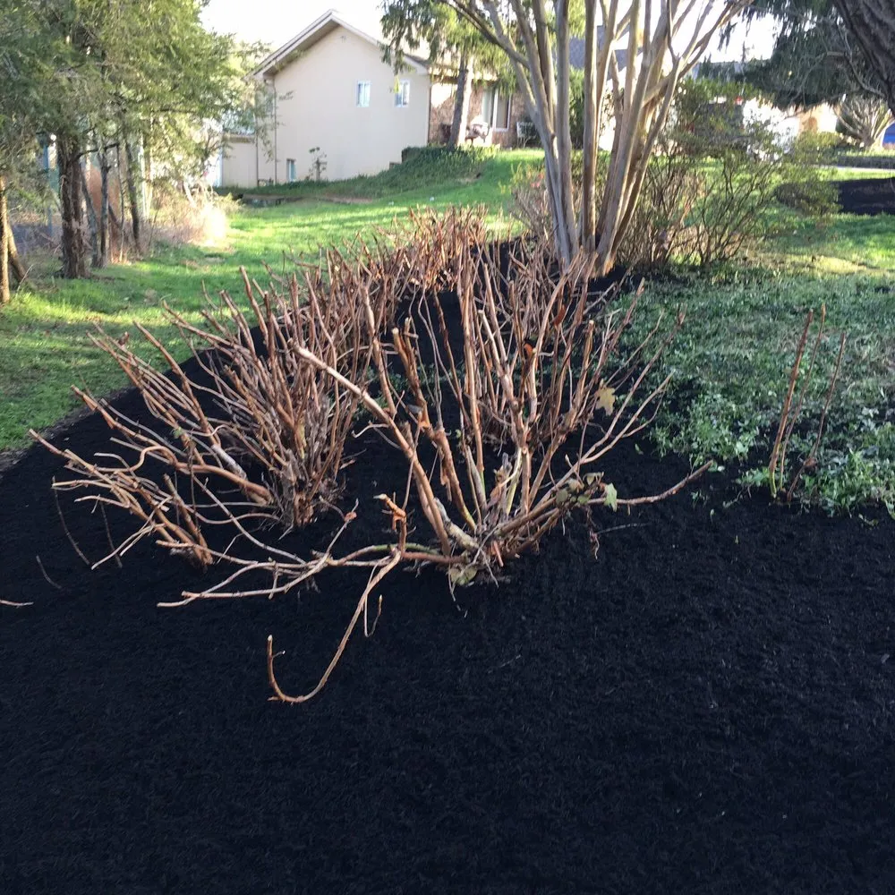 Custom lawn mowing service experts serving Knoxville, TN - Tikal Lawn and Landscaping