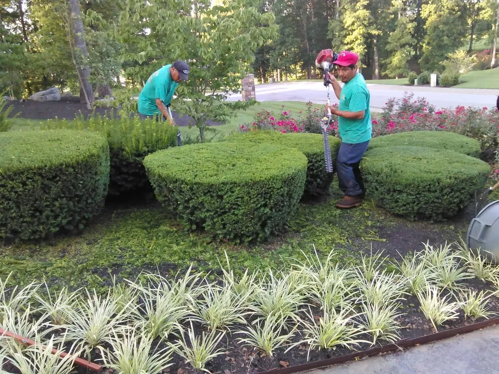 Trusted residential landscaping experts serving Knoxville, TN - Tikal Lawn and Landscaping