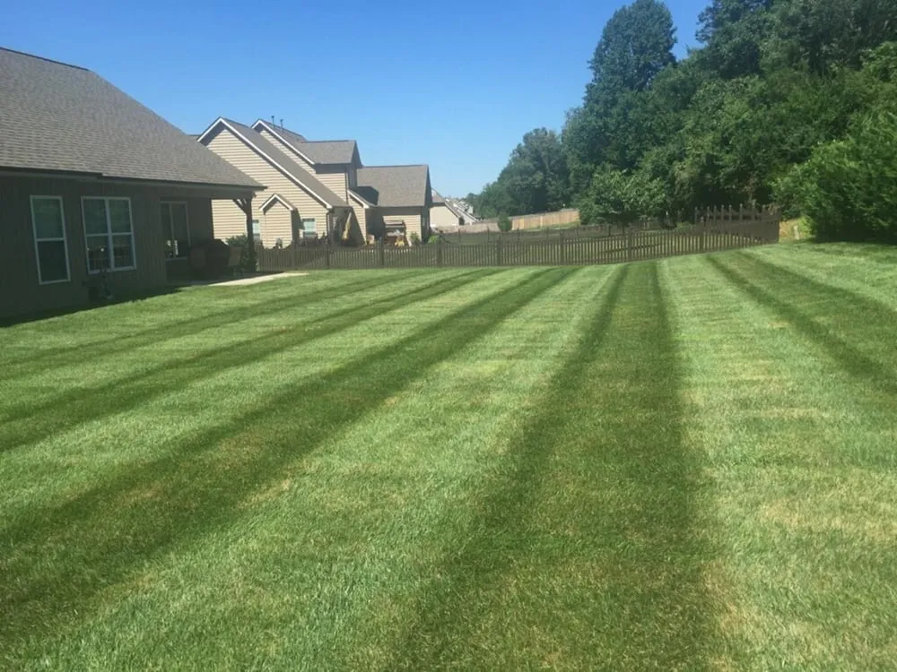 Reliable lawn care service experts serving Knoxville, TN - Tikal Lawn and Landscaping