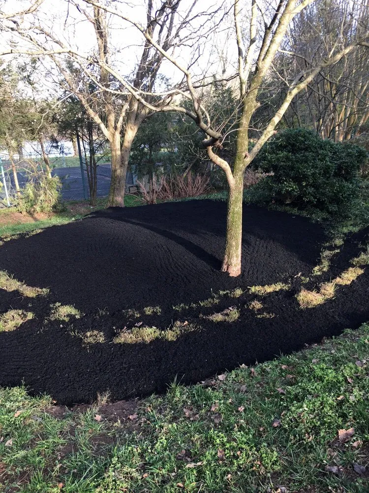 Affordable outdoor landscaping in Knoxville, TN - Tikal Lawn and Landscaping