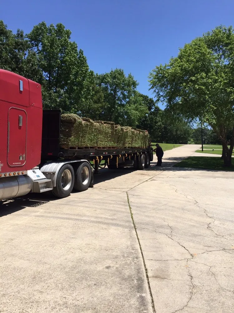 Reliable lawn care service experts serving Hemphill, TX - Tiki Gardens Nursery & Landscaping