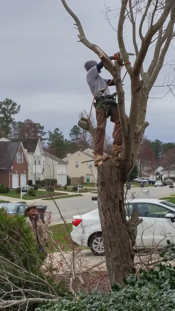 Top-rated garden landscaping in Williamsburg, VA by Tiki Tree and Landscape