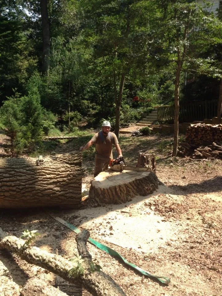 Top-rated lawn mowing service experts serving Williamsburg, VA - Tiki Tree and Landscape