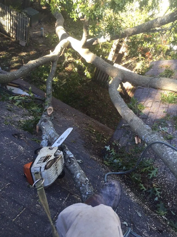 Affordable outdoor landscaping with custom design across Williamsburg, VA - Tiki Tree and Landscape