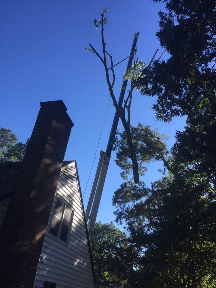 Professional landscape design experts serving Williamsburg, VA - Tiki Tree and Landscape