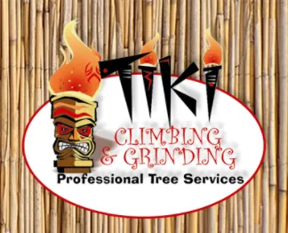 Trusted residential landscaping in Williamsburg, VA by Tiki Tree and Landscape