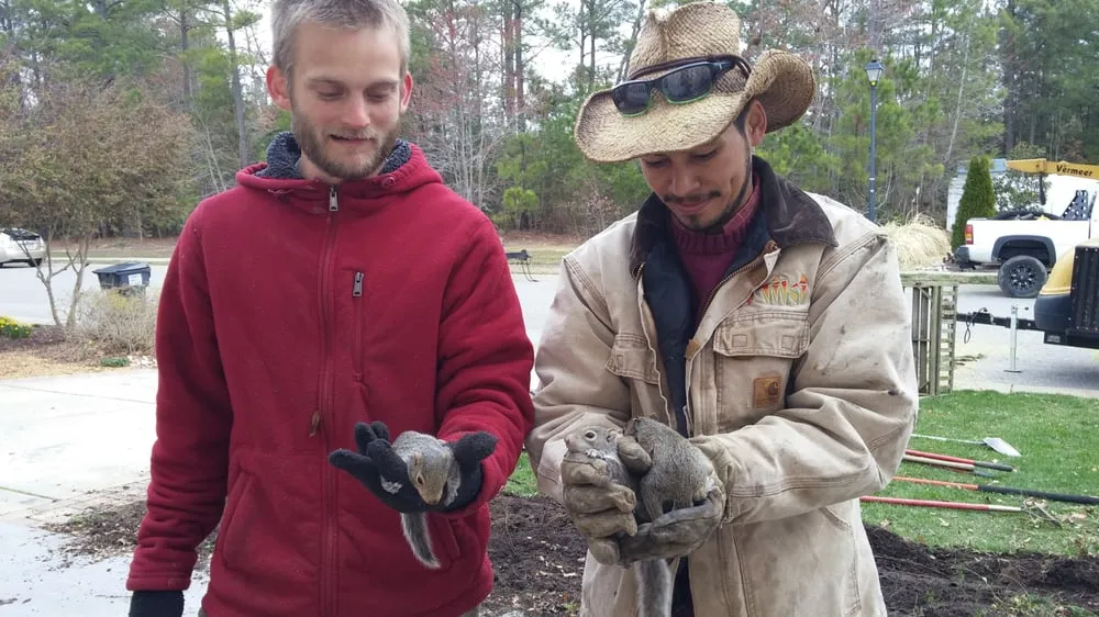 Custom lawn care service for outdoor upgrades in Williamsburg, VA by Tiki Tree and Landscape