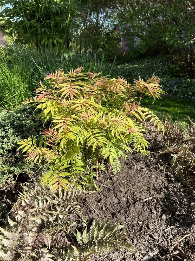 Top-rated lawn care service in Hartland, WI - Tili's Landscaping