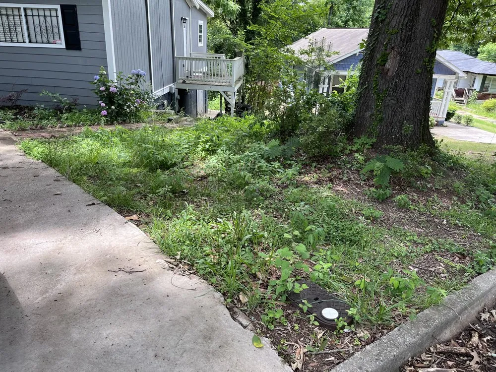 Reliable yard maintenance experts serving Locust Grove, GA - Tillie And Cory’s Lawn Care