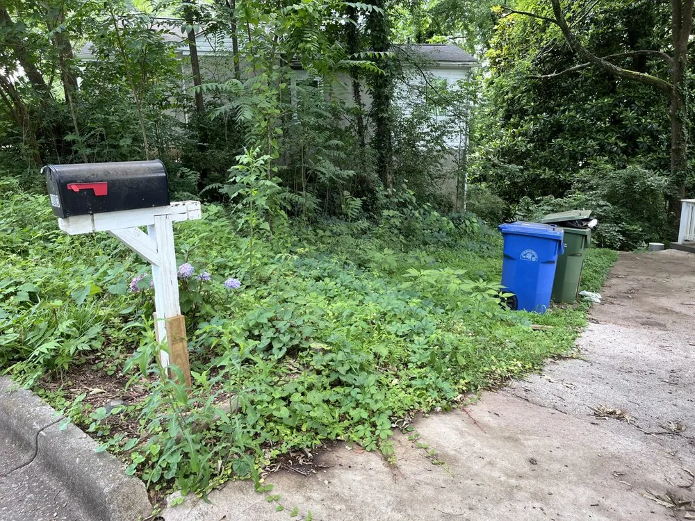 Professional lawn care service in Locust Grove, GA - Tillie And Cory’s Lawn Care