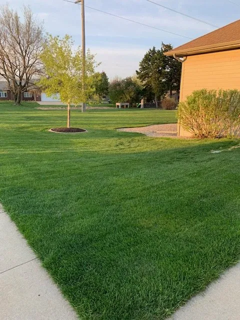 Trusted yard maintenance for residential properties across Sioux Falls, SD - Tillma's Lawn Care