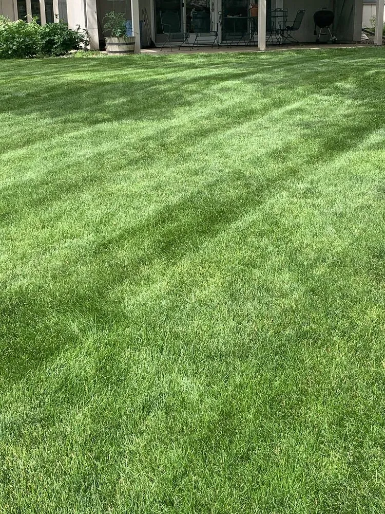 Top-rated landscaping services for beautiful yards in Sioux Falls, SD by Tillma's Lawn Care