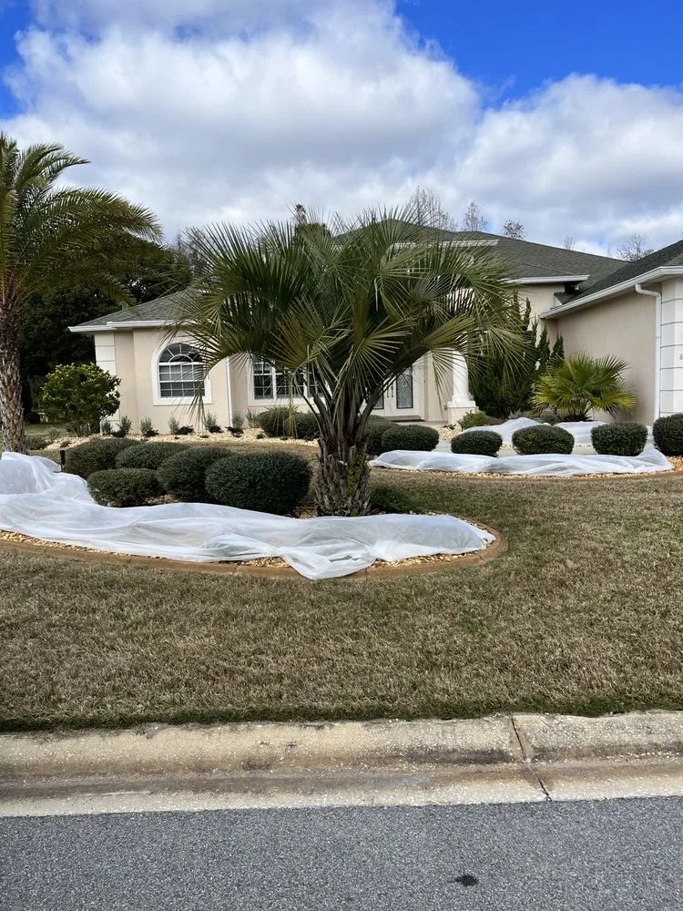 Reliable lawn care service in Brooksville, FL - Tillys Garden and Landscape