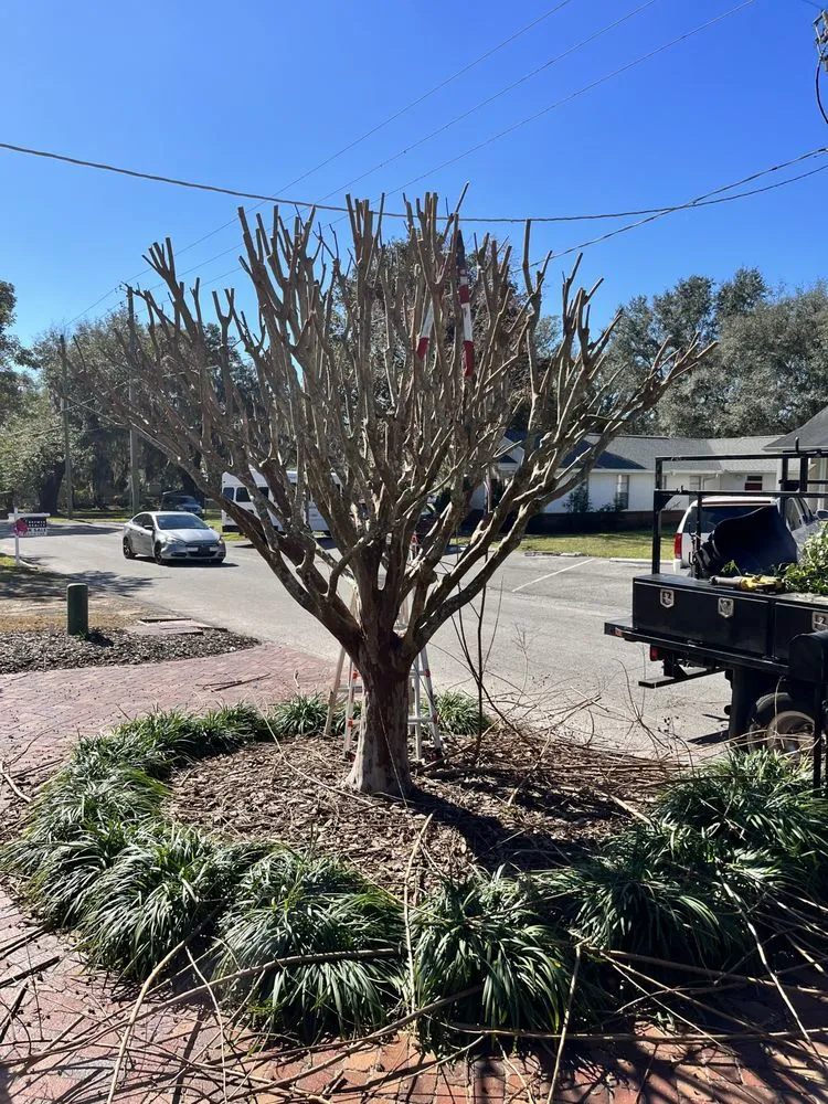 Expert outdoor landscaping near you in Brooksville, FL by Tillys Garden and Landscape
