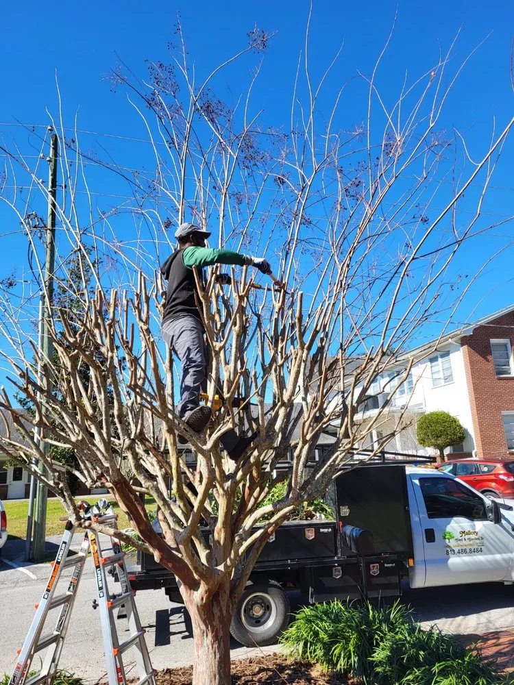 Trusted outdoor landscaping experts serving Brooksville, FL - Tillys Garden and Landscape