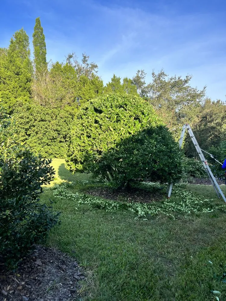 Reliable landscape design in Brooksville, FL - Tillys Garden and Landscape