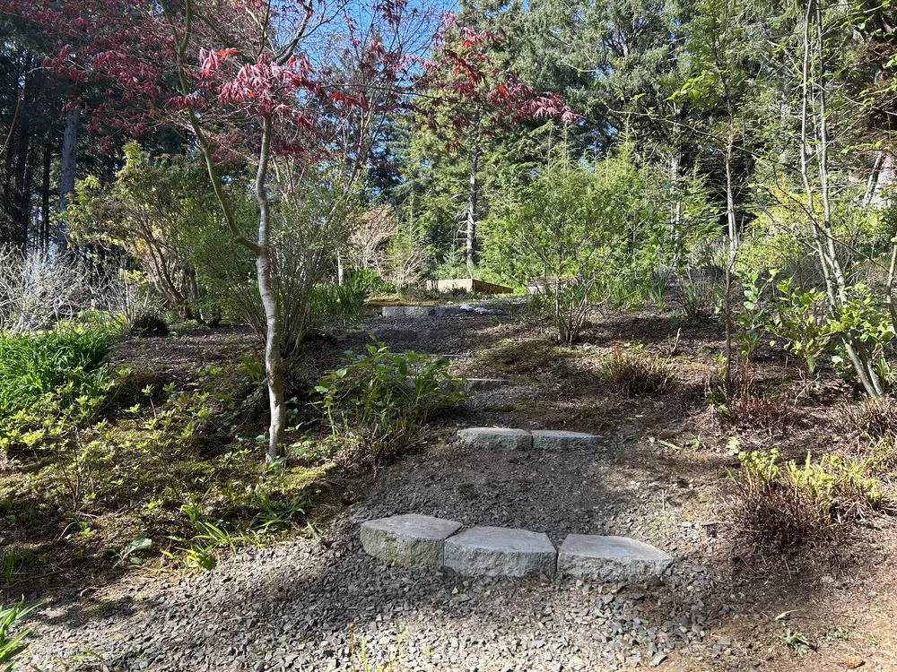 Affordable lawn care service for residential properties across Astoria, OR - Tilly’s Garden