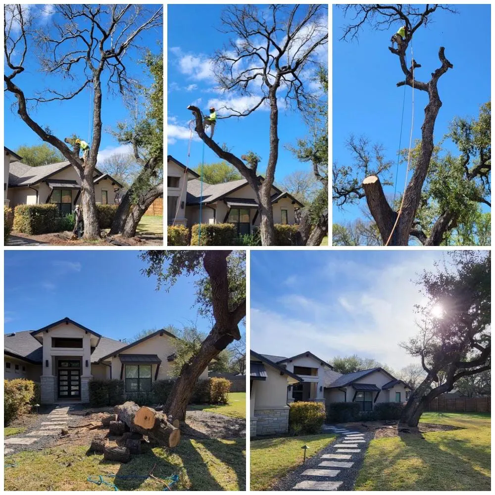 Local lawn mowing service with custom design in Austin, TX by Tilo's Tree Trimming Services