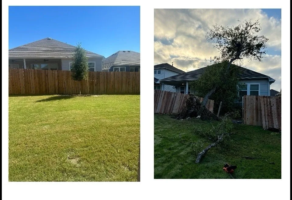 Trusted yard maintenance for year-round maintenance in Austin, TX by Tilo's Tree Trimming Services
