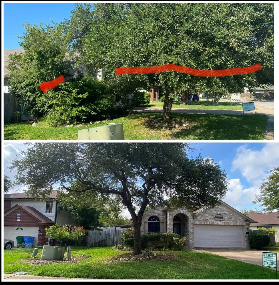 Reliable lawn care service for beautiful yards in Austin, TX by Tilo's Tree Trimming Services