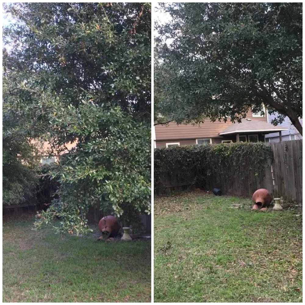 Affordable lawn care service with custom design in Austin, TX by Tilo's Tree Trimming Services