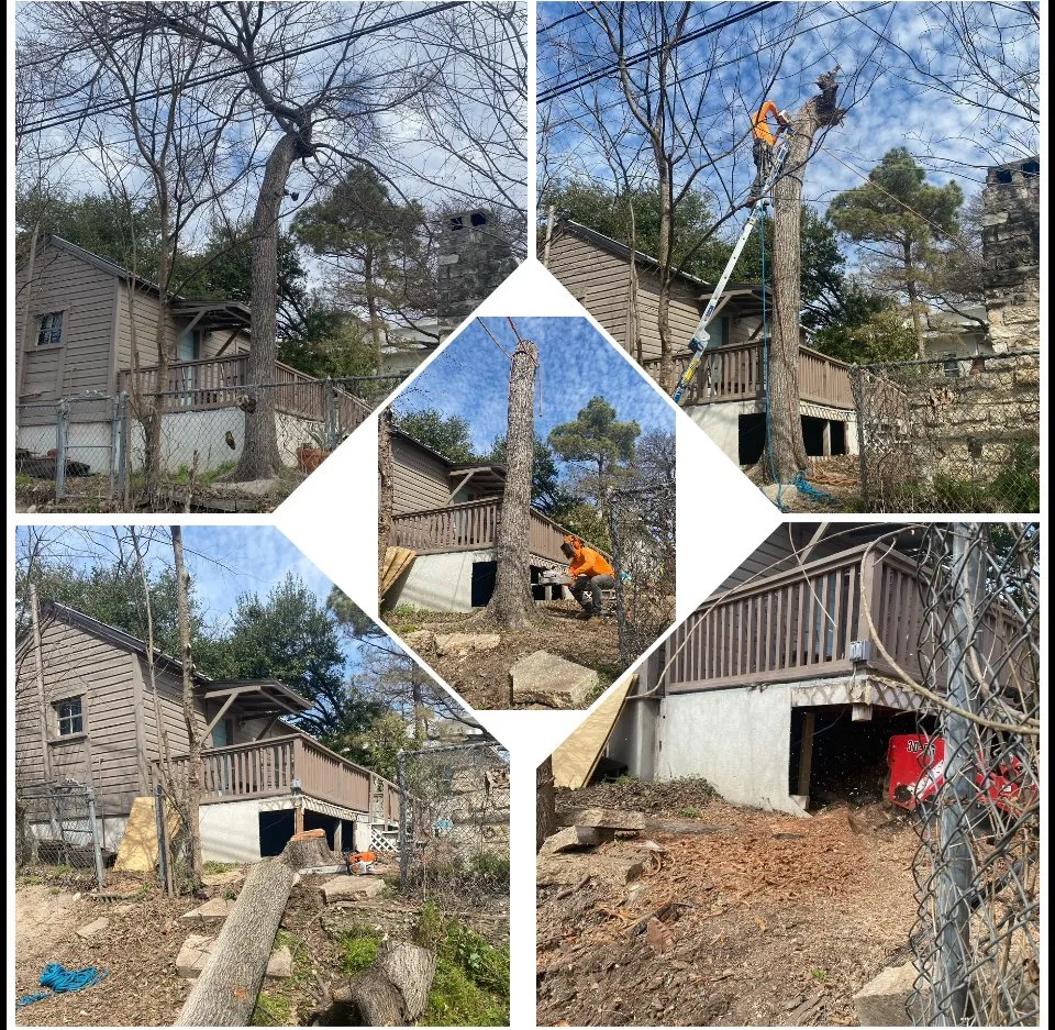 Custom landscape design in Austin, TX - Tilo's Tree Trimming Services