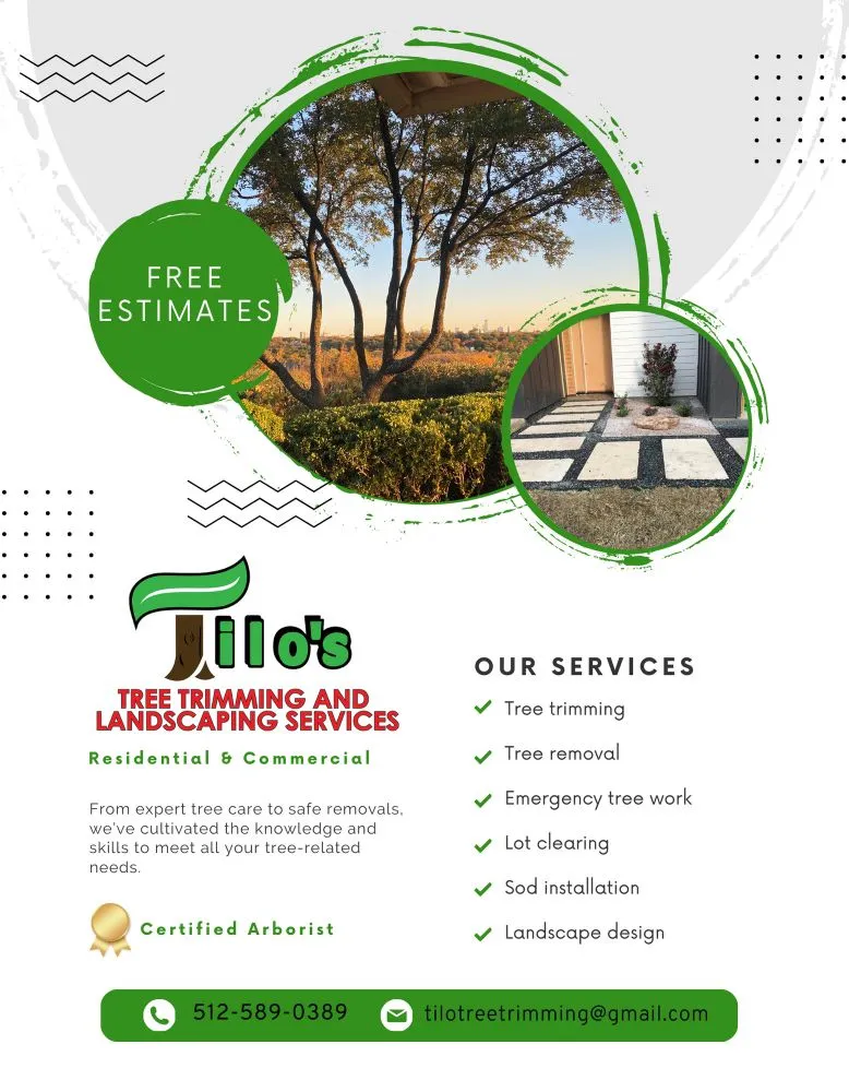 Reliable yard cleanup service near you in Austin, TX by Tilo's Tree Trimming Services
