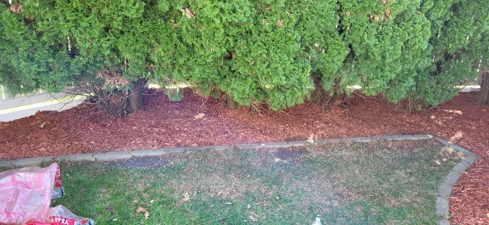 Local lawn mowing service in Fremont, NE - Tilson's Lawn Services