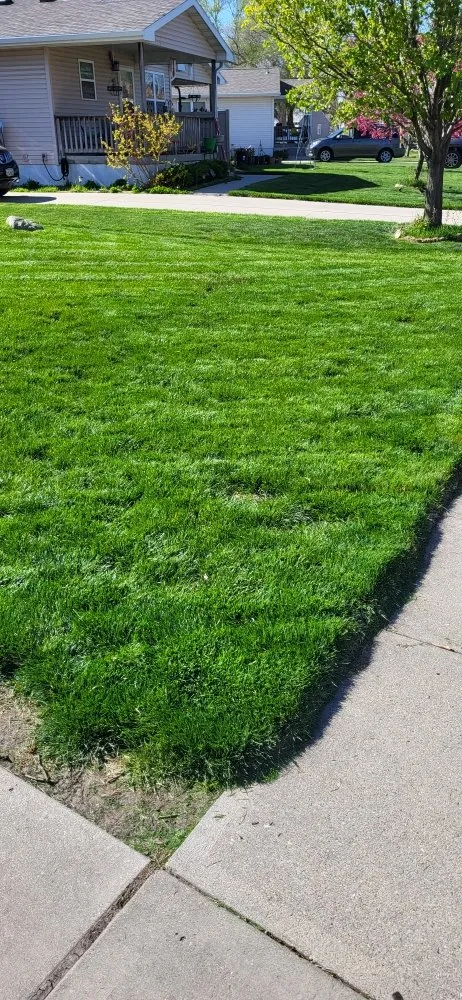 Professional residential landscaping in Fremont, NE by Tilson's Lawn Services