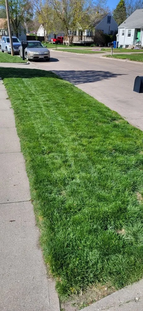 Reliable yard cleanup service near you across Fremont, NE - Tilson's Lawn Services