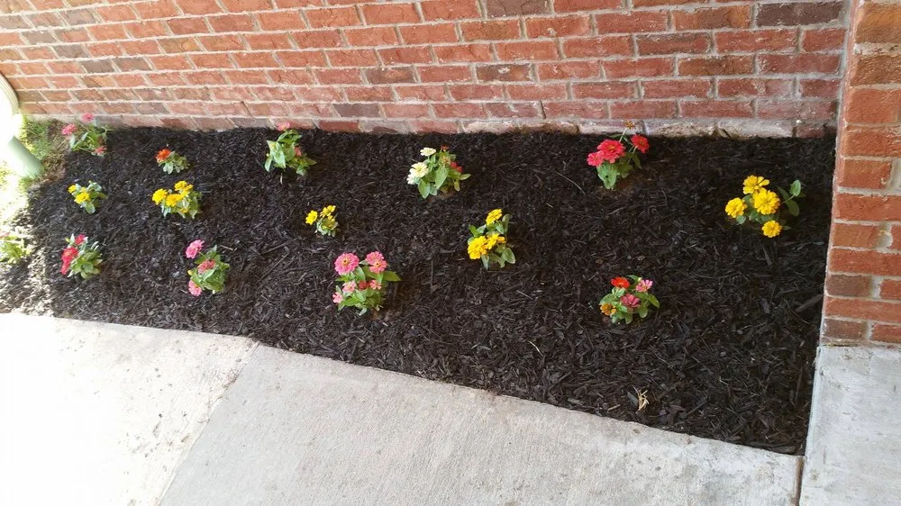 Custom garden landscaping in Richmond Hill, GA - Tim & Dave's Nursery